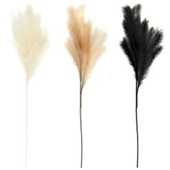 B&M Pampas Stem - Black 7 B&M Pampas Stem - Black -Home Accessories Shop 372800 395541 394382 pamas stem group