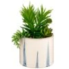 B&M Succulent In Blue Drip Pot -Home Accessories Shop 380106 succulent in blue drip pot