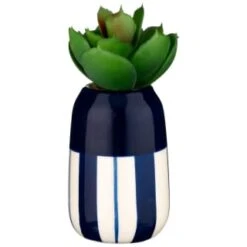 B&M Small Succulent -Home Accessories Shop 380107 small succulent 5