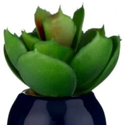 B&M Small Succulent -Home Accessories Shop 380107 small succulent 6