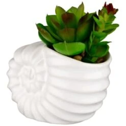 B&M Scandi Shore Small Shell Succulent -Home Accessories Shop 380110 small shell succulent 3