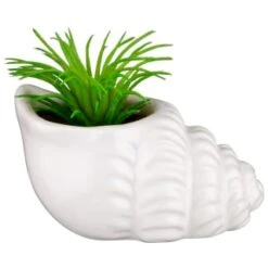 B&M Scandi Shore Small Shell Succulent -Home Accessories Shop 380110 small shell succulent 4