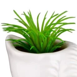 B&M Scandi Shore Small Shell Succulent -Home Accessories Shop 380110 small shell succulent 5