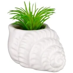 B&M Scandi Shore Small Shell Succulent -Home Accessories Shop 380110 small shell succulent 6