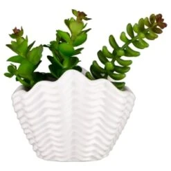 B&M Scandi Shore Small Shell Succulent -Home Accessories Shop 380110 small shell succulent 7