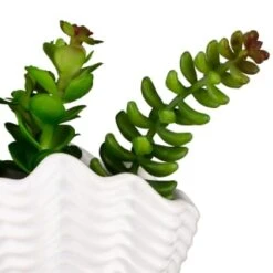 B&M Scandi Shore Small Shell Succulent -Home Accessories Shop 380110 small shell succulent 8