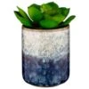 B&M Scandi Shore Succulent -Home Accessories Shop 380125 scandi succulent