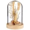 B&M Dried Flowers In Cloche - Natural -Home Accessories Shop 380163 dried flowers in cloche