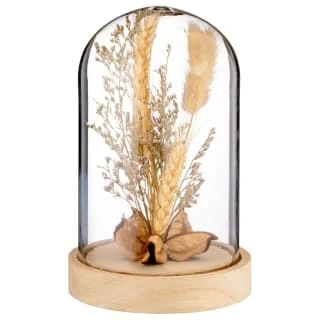 B&M Dried Flowers In Cloche - Natural 3 B&M Dried Flowers In Cloche - Natural