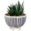 B&M Scandi Shore Stripe Succulent -Home Accessories Shop 380604 scandi shore stripe succulent 3