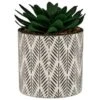 B&M Succulent In Botanist Print Pot - Green 1 B&M Succulent In Botanist Print Pot - Green -Home Accessories Shop 380608 patterened pot with succulent