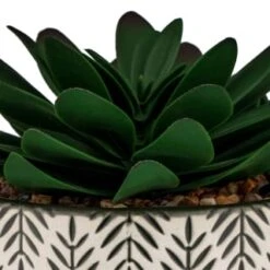 B&M Succulent In Botanist Print Pot - Green -Home Accessories Shop 380608 patterened pot with succulent 2
