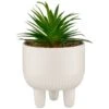 B&M Scandi Shore Succulent In White Pot -Home Accessories Shop 380696 succulent in white pot
