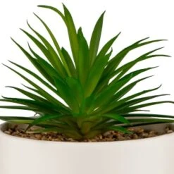 B&M Scandi Shore Succulent In White Pot -Home Accessories Shop 380696 succulent in white pot 2