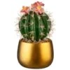 B&M Lush Paradise Cactus In Gold Pot 1 B&M Lush Paradise Cactus In Gold Pot -Home Accessories Shop 380714 cactus in gold pot