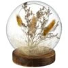 B&M Dried Pampas In Sphere -Home Accessories Shop 387526 dried pampas in sphere