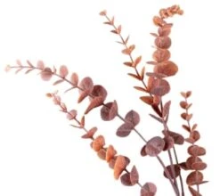 B&M Eucalyptus In Vase -Home Accessories Shop 387563 eucalyptus in vase 2