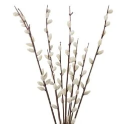 B&M Pussy Willow In White Vase 5 B&M Pussy Willow In White Vase -Home Accessories Shop 387576 pussy willow in white vase 2