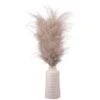 B&M Pampas In White Vase -Home Accessories Shop 387577 real pampas in white pot