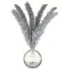 B&M Grey Pampas In Glass Vase -Home Accessories Shop 392627 grey pampas in glass vase