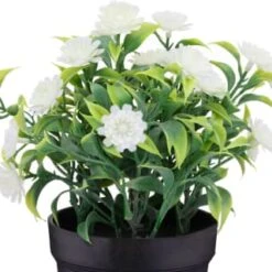 Bloom Daisies In Pot - White -Home Accessories Shop 392825 daisies in pot white
