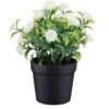 Bloom Daisies In Pot - White -Home Accessories Shop 392825 daisies in pot yellow