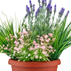 Bloom Flowers In Large Planter - Light Pink -Home Accessories Shop 392831 flowers in large planter 2