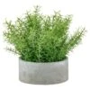 Bloom Large Green Foliage In Cement Pot -Home Accessories Shop 392861 large green foliage in cement