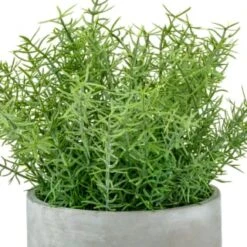 Bloom Large Green Foliage In Cement Pot -Home Accessories Shop 392861 large green foliage in cement 2