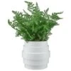 Bloom Premium Foliage In Cream Planter -Home Accessories Shop 392863 premium foliage in cream planter