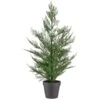 Bloom Conifer Tree In Plant Pot -Home Accessories Shop 392865 conifer tree in plant pot