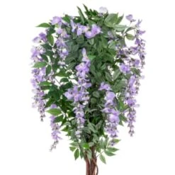 Bloom Wysteria Tree In Pot - Purple -Home Accessories Shop 392870 4ft wysteria tree purple 2