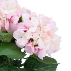 Bloom Hydrangea In Pot - Pink -Home Accessories Shop 392961 hydrangea in pot