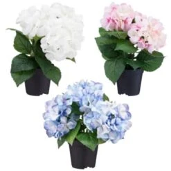 Bloom Hydrangea In Pot - Pink -Home Accessories Shop 392961 hydrangea in pot group1