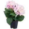 Bloom Hydrangea In Pot - Pink -Home Accessories Shop 392961 hydrangea in pot pink