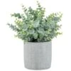 Bloom Eucalyptus In Cement Pot -Home Accessories Shop 392965 eucalyptus in cement pot