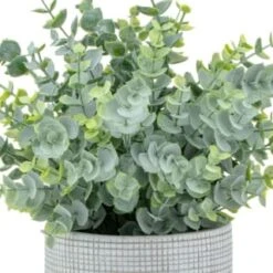 Bloom Eucalyptus In Cement Pot -Home Accessories Shop 392965 eucalyptus in cement pot 2