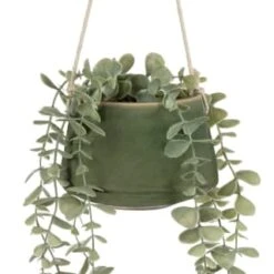 B&M Hanging Foliage In Green Ceramic Pot -Home Accessories Shop 394335 hanging green pot foliage 2