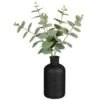 B&M Eucalyptus In Black Pot -Home Accessories Shop 394336 eucalyptus in black pot