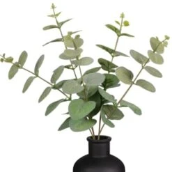 B&M Eucalyptus In Black Pot -Home Accessories Shop 394336 eucalyptus in black pot 2