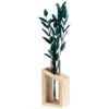 B&M Plant In Glass & Wooden Vase -Home Accessories Shop 394337 plant in glass and wooden vase