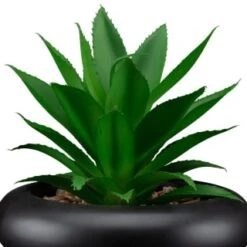 B&M Succulent In Bubble Vase 5 B&M Succulent In Bubble Vase -Home Accessories Shop 394339 succulent in bubble vase 2