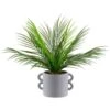 B&M Fern In Double Handle Pot -Home Accessories Shop 394340 fern in double handle pot