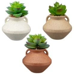 B&M Small Succulent Vase - Orange -Home Accessories Shop 394662 small vase succulent group