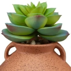 B&M Small Succulent Vase - Orange -Home Accessories Shop 394662 small vase succulent orange 2