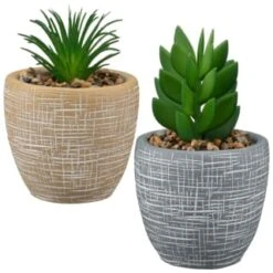 B&M Small Succulent Pot - Stone 7 B&M Small Succulent Pot - Stone -Home Accessories Shop 394663 small succulent group