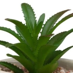 B&M Assorted Embossed Pots 14 B&M Assorted Embossed Pots -Home Accessories Shop 394664 embossed pot 2