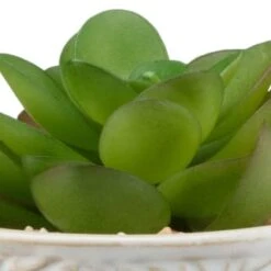 B&M Assorted Embossed Pots 15 B&M Assorted Embossed Pots -Home Accessories Shop 394664 embossed pot 6