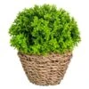 B&M Bush In Seagrass Pot -Home Accessories Shop 394693 bush in seagrass pot