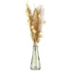 B&M Pampas & Leaf In Glass Vase -Home Accessories Shop 394707 pampas and leaf in glass vase 3